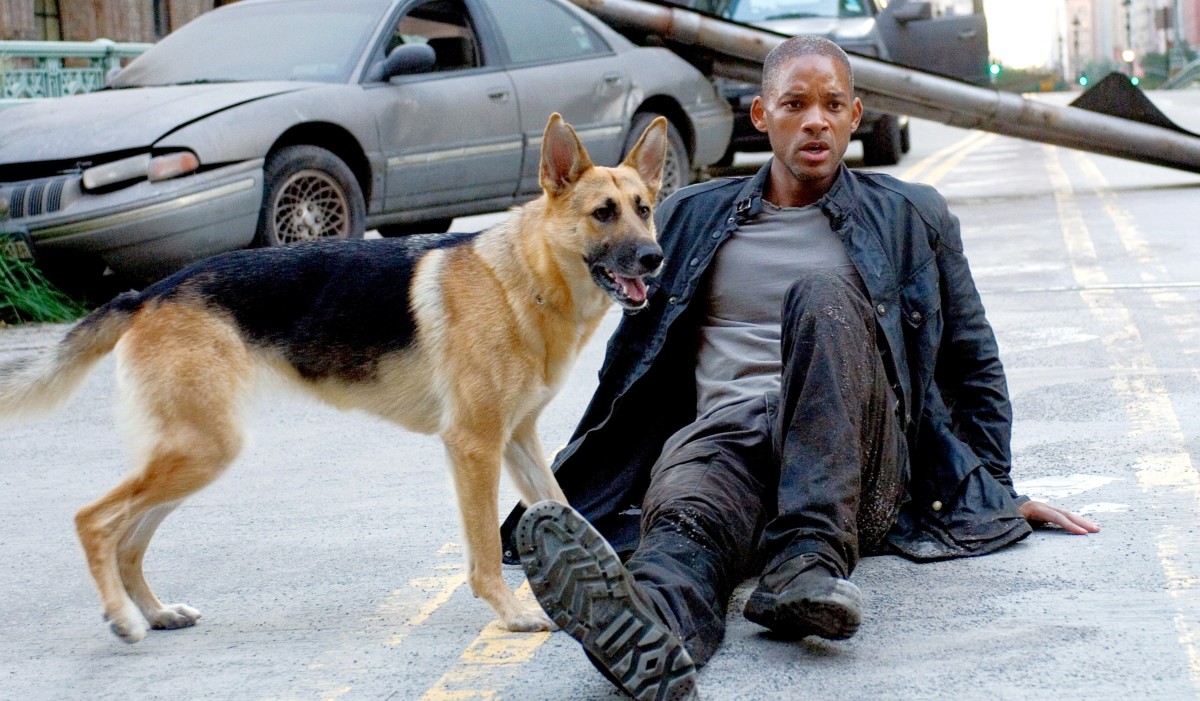 影视 | 苦等 19 年《我是传奇 2》确定由《变形金刚》导演操刀！威尔·史密斯、迈克尔·B·乔丹「双影帝」主演-PCX 梦旅人